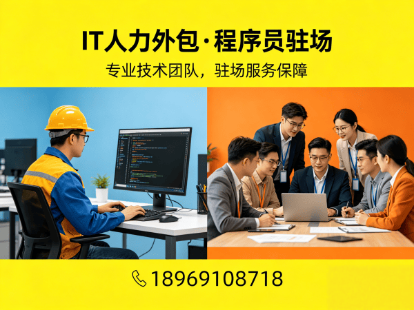 西安IT人力外包解决方案：Go开发程序员外包破解企业技术人才困境